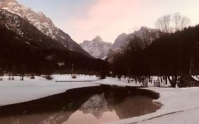 Apartma Anton